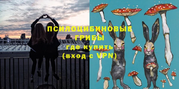 ешки Алексеевка