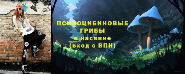 не бодяженный Алексин