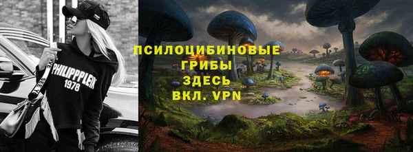 не бодяженный Алексин
