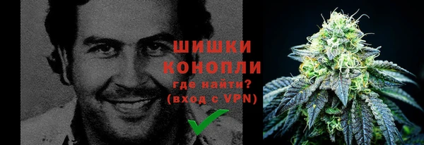 бошки Алзамай