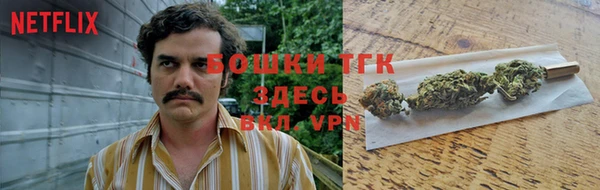 ешки Алексеевка